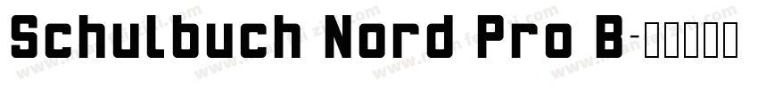 Schulbuch Nord Pro B字体转换